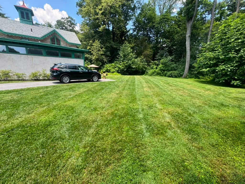 Green Force lawn maintenance work